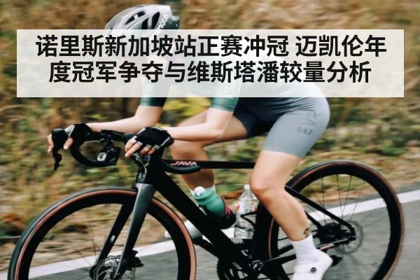诺里斯新加坡站正赛冲冠 迈凯伦年度冠军争夺与维斯塔潘较量分析 - kaiyun